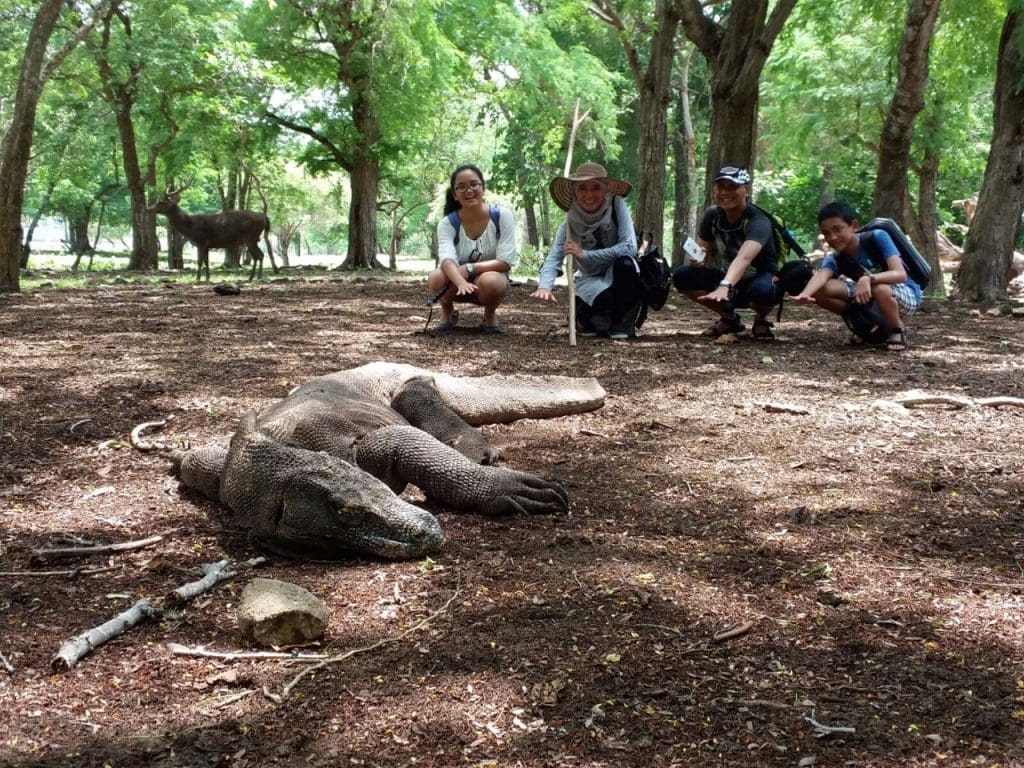 komodo trips