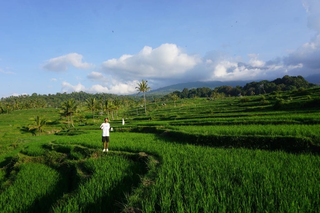 senaru panorama walk